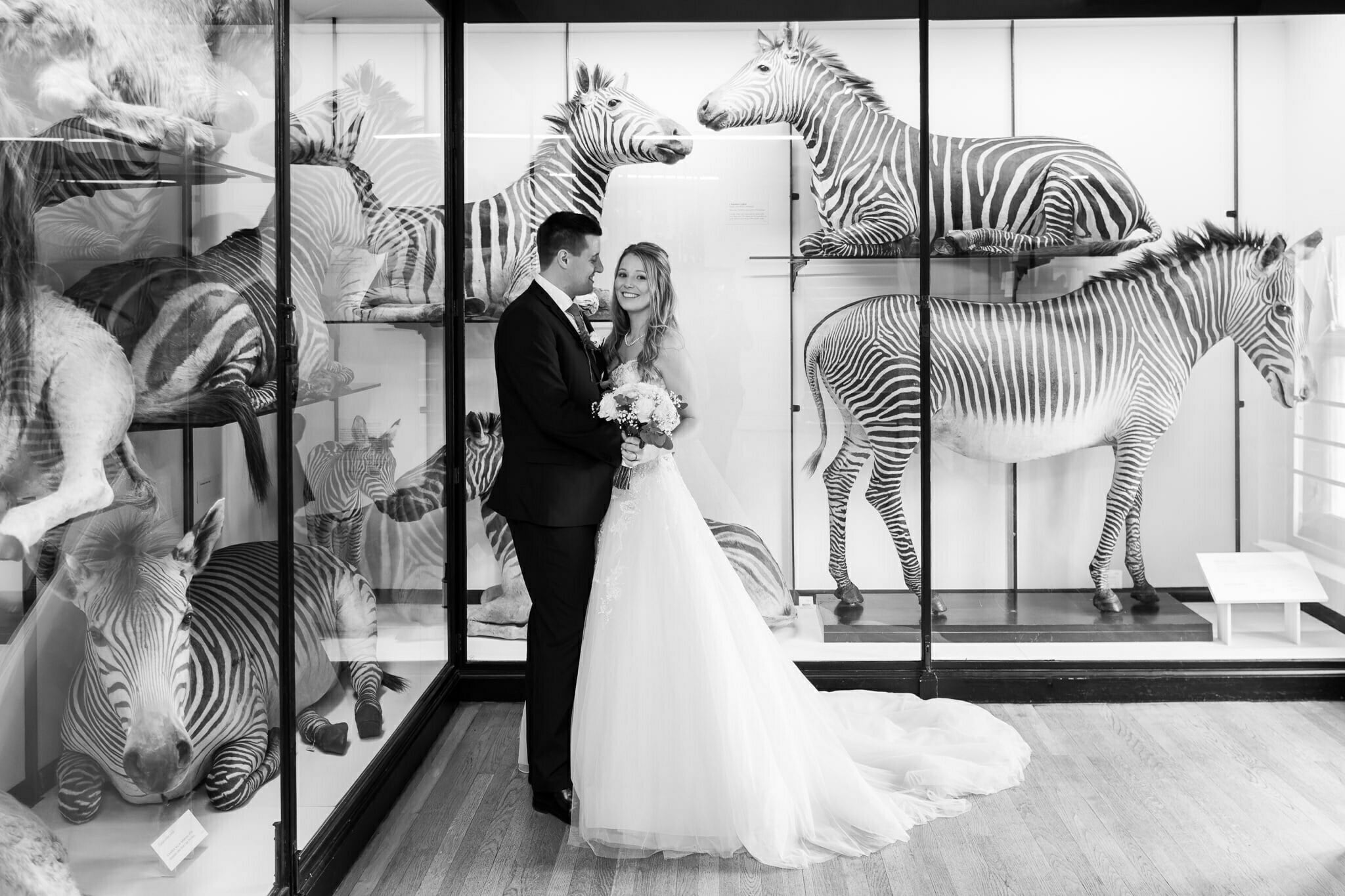 A portrait of bride and groom in front of the Zebra display at Tring Natural History Museum