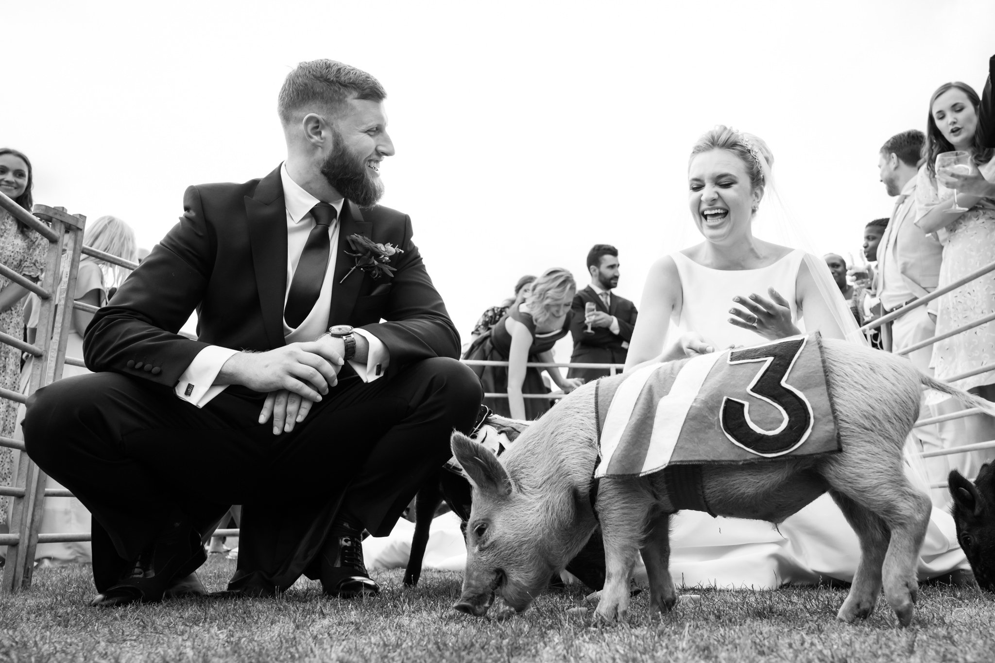The bride and groom pet pigs during their wedding reception at Stowe House.